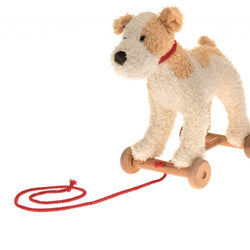 Pull Along Dog Eliot