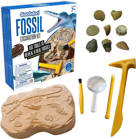 Geosafari® Fossil Excavation Kit